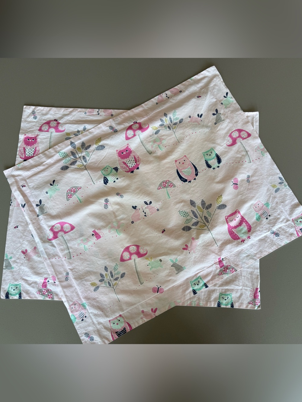 Pottery Barn Kids Pink Whimsical Standard Sham